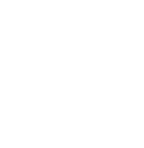 Tax Assessor Collectors Association of Texas